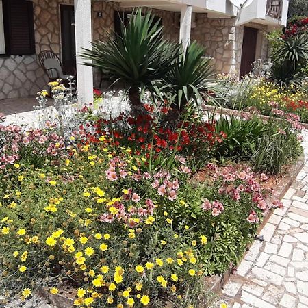 Apartmani Ana Cres Bagian luar foto