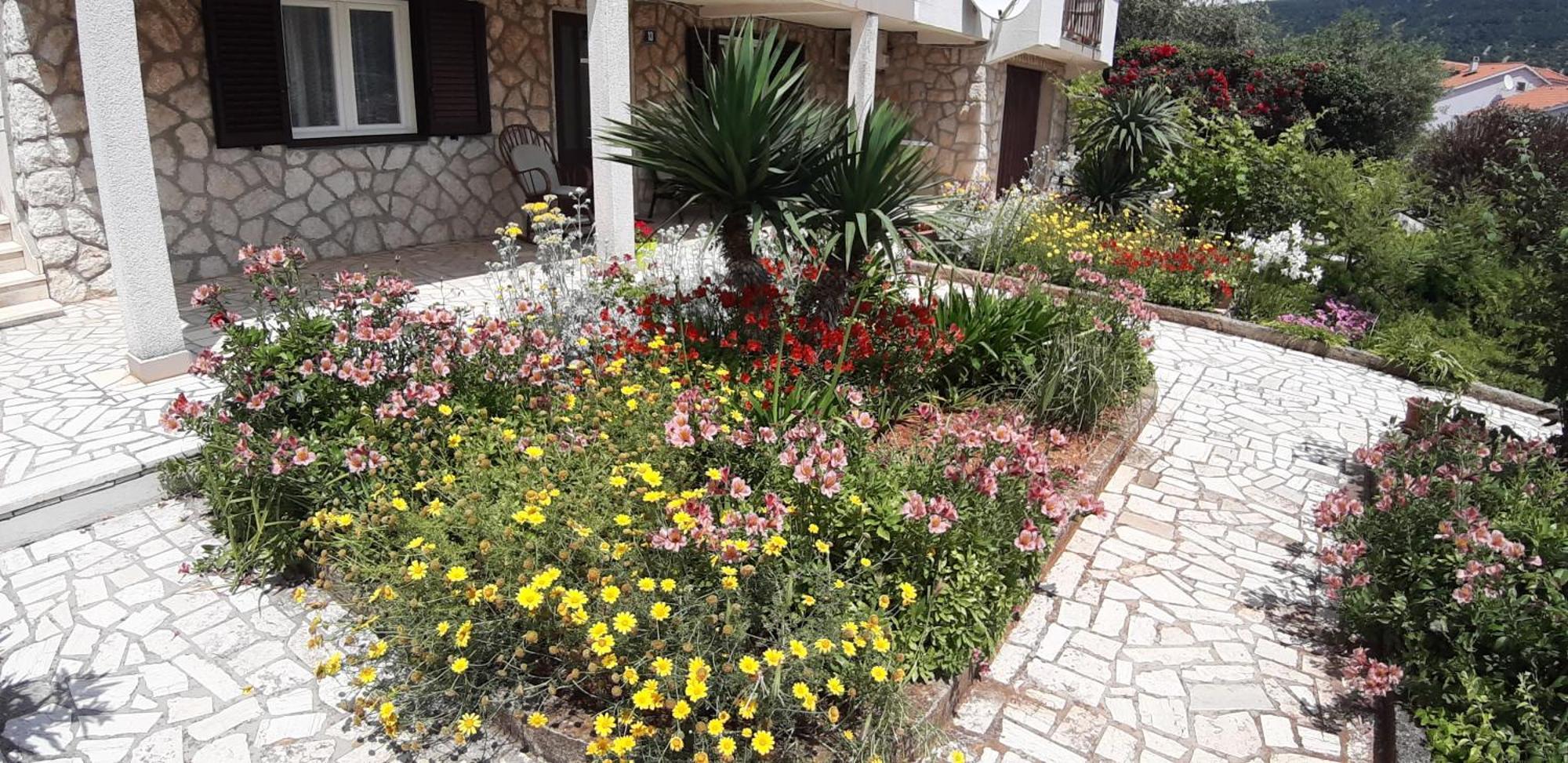 Apartmani Ana Cres Bagian luar foto